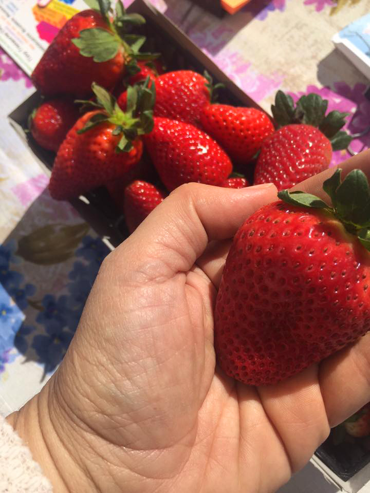 Farmers Market